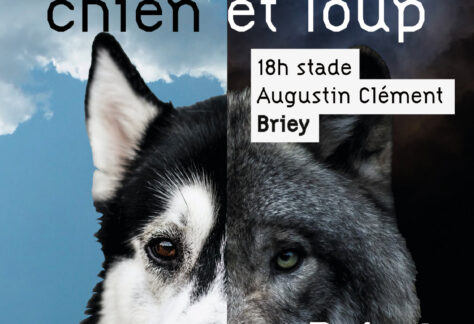 entre chien et loup trail nocturne