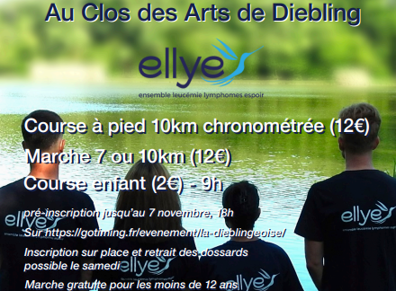 inscription la dieblingeoise